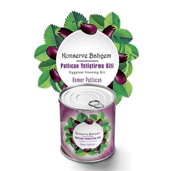 Woody Sofia® Konserve Bahçem Evde Konservede Kemer PatlıcanYetiştirme Kiti Woody Sofia® Konserve Bahçem Evde Konservede Kemer PatlıcanYetiştirme Kiti