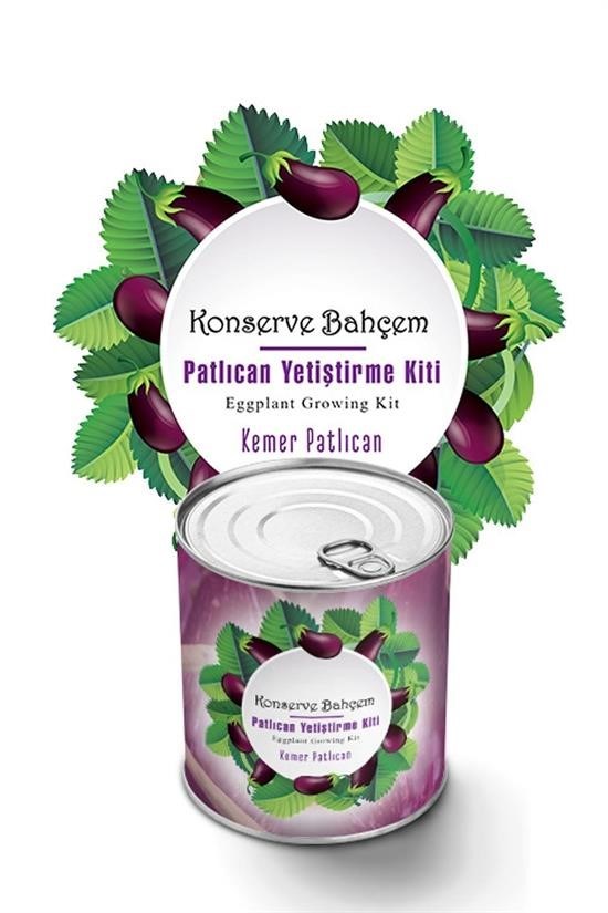 Woody Sofia® Konserve Bahçem Evde Konservede Kemer PatlıcanYetiştirme Kiti Woody Sofia® Konserve Bahçem Evde Konservede Kemer PatlıcanYetiştirme Kiti