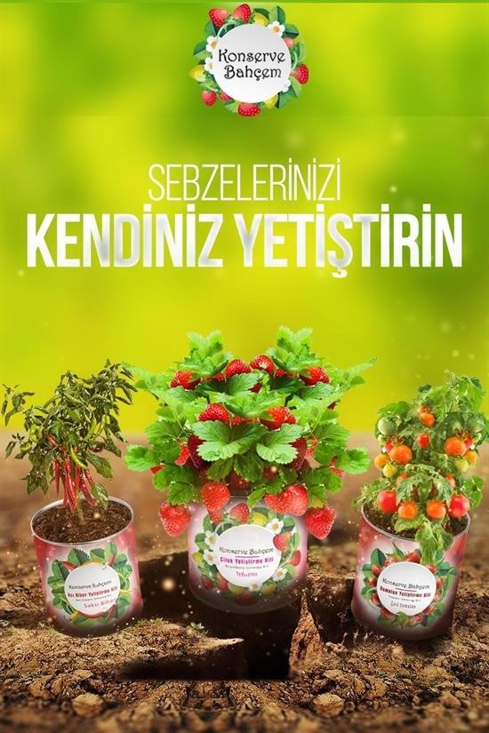 Woody Sofia® Konserve Bahçem Evde Konservede Kemer PatlıcanYetiştirme Kiti Woody Sofia® Konserve Bahçem Evde Konservede Kemer PatlıcanYetiştirme Kiti