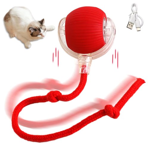 Şarjlı Kedi Oyuncağı Şarjlı Kedi Oyuncağı