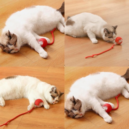 Şarjlı Kedi Oyuncağı Şarjlı Kedi Oyuncağı